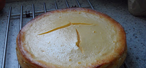 thermomix ruck zuck kuchen