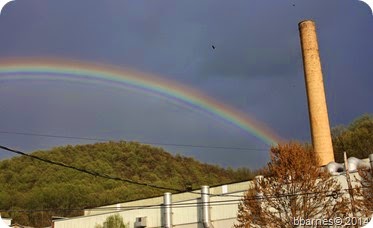 IMG_4449 IMG_4449