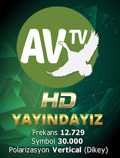 av tv frejans 2019