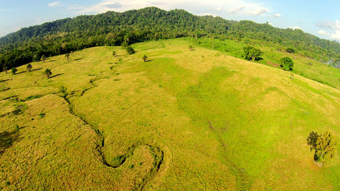 Alas Purwo National Park