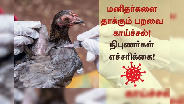 பறவைக் காய்ச்சல் பதிவாகியுள்ள எந்தவொரு நாட்டிலிருந்தும் விலங்குகள் அல்லது விலங்கினப் பொருட்களை  இறக்குமதிக்கு தடை 