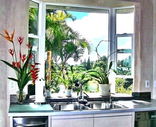 kitchen-window-over-sink-ideas