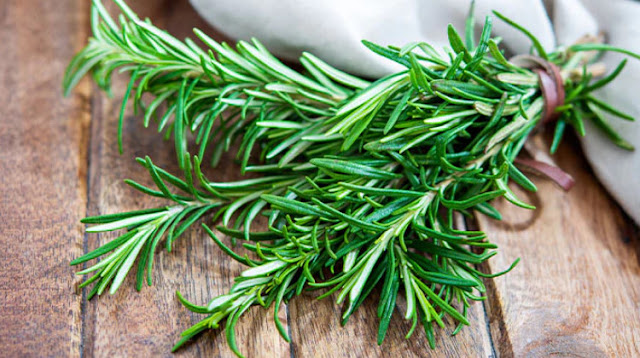 Amazing rosemary benefits for maintain a healthy digestive.