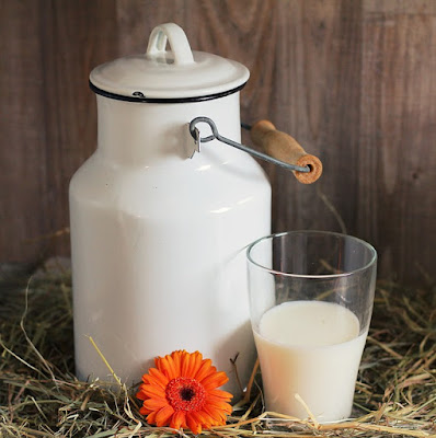 cow milk health basic tips