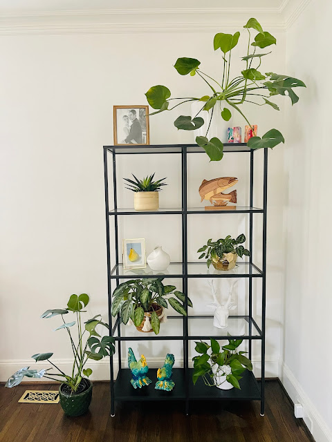 plant decor shelf