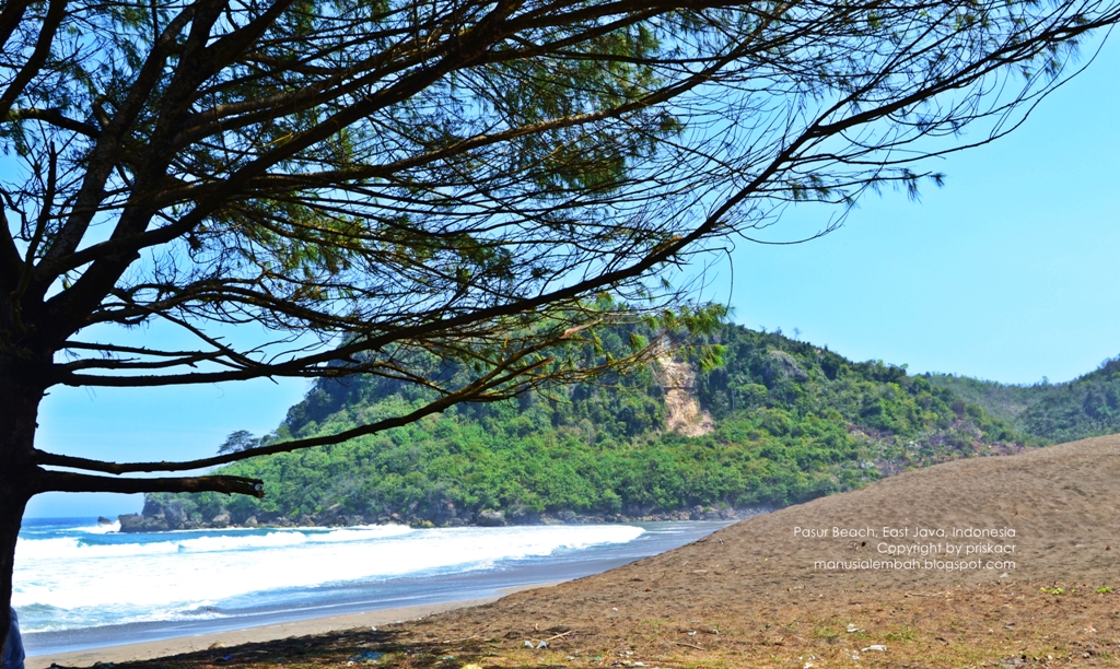 Pantai Pasur Kesunyian Pantai Berpasir Hitam Blitar Selatan Pantai Pasur Kesunyian Pantai Berpasir Hitam Blitar Selatan