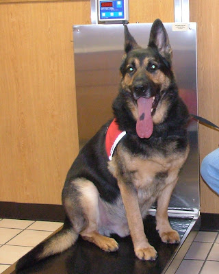 Corey at the Vets