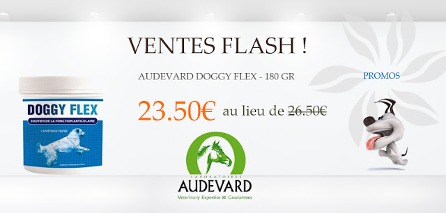 VENTE FLASH: AUDEVARD Doggy Flex 180gr à 23.50€ au lieu de 26.50€