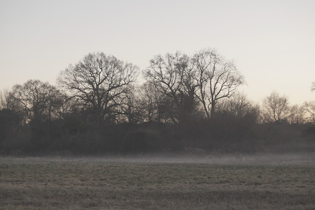 winter sunsets and mist in the Norfolk countryside