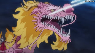 ワンピース アニメ 1070話 モモの助 | ONE PIECE Episode 1070