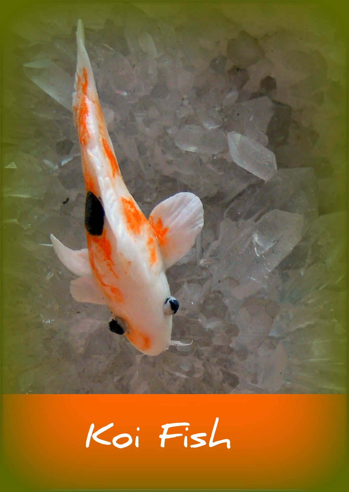 Wellajoy's Miniature: Koi Fish with Videos