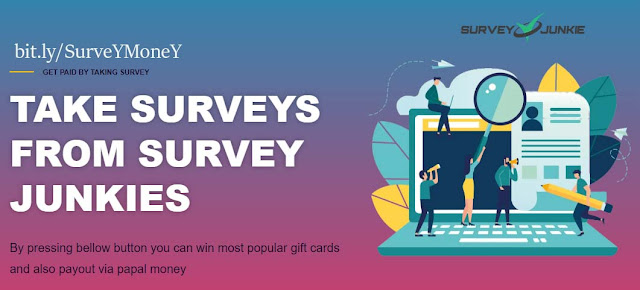 take survey earn money