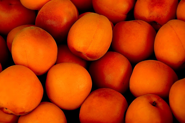 Can Dogs Eat Apricots? Is it safe for dogs to eat dried apricots?