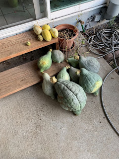 Group of squash on steps