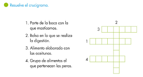 Resultado de imagen para imagenes del sistema digestivo para niños