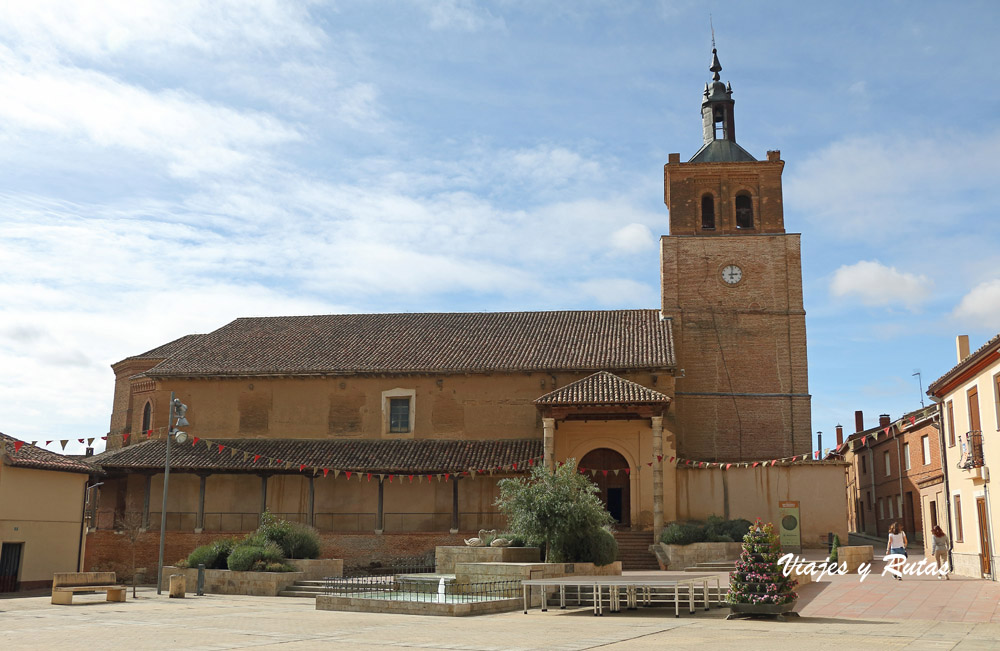 Qué ver en Tierra de Campos: Cisneros