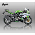 GAMBAR KAWASAKI ZX - 6R SE