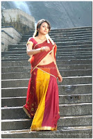 Meenakshi, milky, navel, in, half, saree, pictures