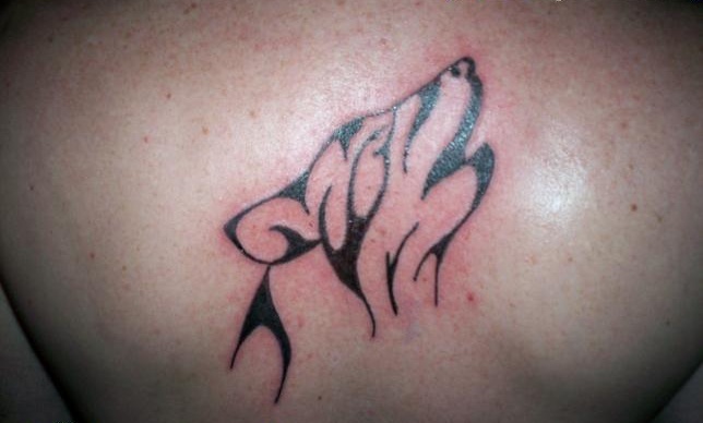 It is popular for both sexes like Tribal Wolf tattoos for men