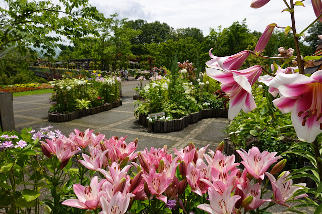 鳥取県西伯郡南部町鶴田 とっとり花回廊 エントランス展示