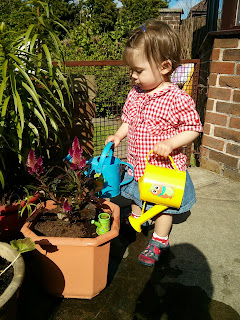 watering plants