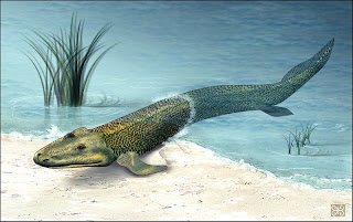 Ikan yang luar biasa yang hidup 375 juta tahun lalu