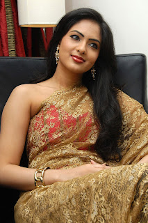 Nikisha Patel Hot saree Photos