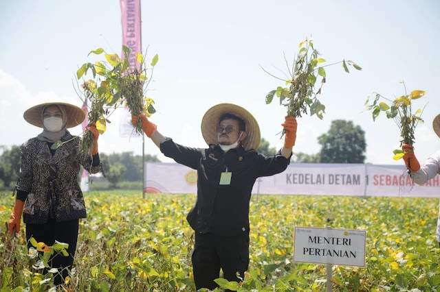 Kemendag Jamin Harga Kedelai Tetap Terjangkau