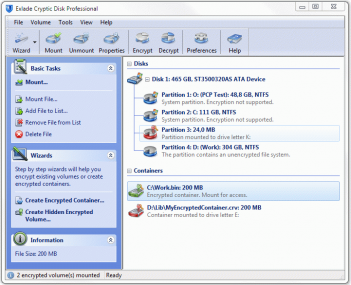 Cryptic Disk Professional Edition 3.0.28.563