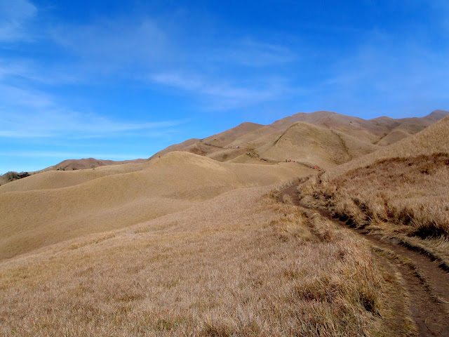 Mt. Pulag 2020