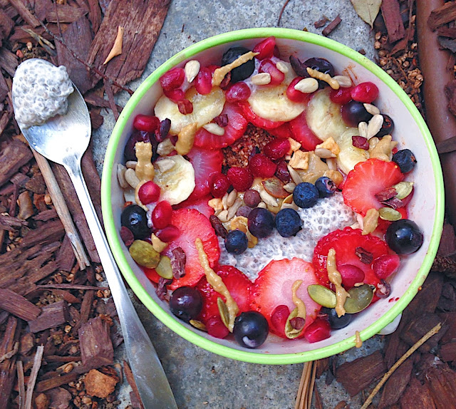 Superfood Chia Seed Pudding Porridge (Gluten Free, Vegan, Oat Free)