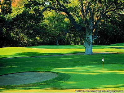 Greenery in Golf Ground