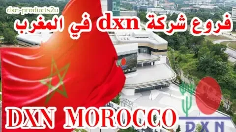 فروع شركة دي إكس إن في المغرب