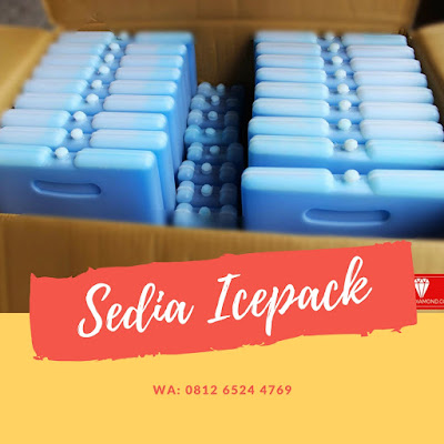 Sedia Ice Pack di Andolo