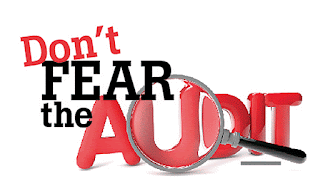 Don't fear the audit