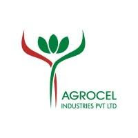 Agrocel Industries Hiring For Project Department