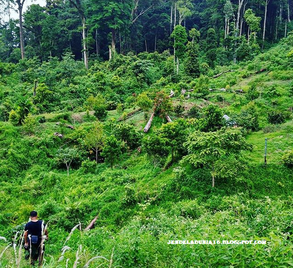 [http://FindWisata.blogspot.com] Menikmati Pesona Keindahan Dan Kesejukan Air Terjun Ngungun Saok