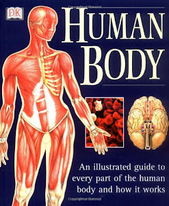 Human Body