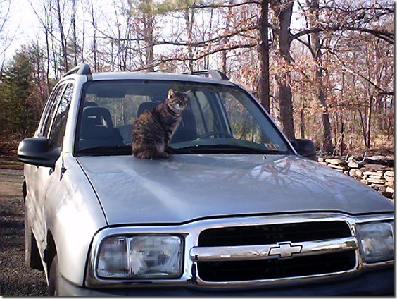 Hood Ornament