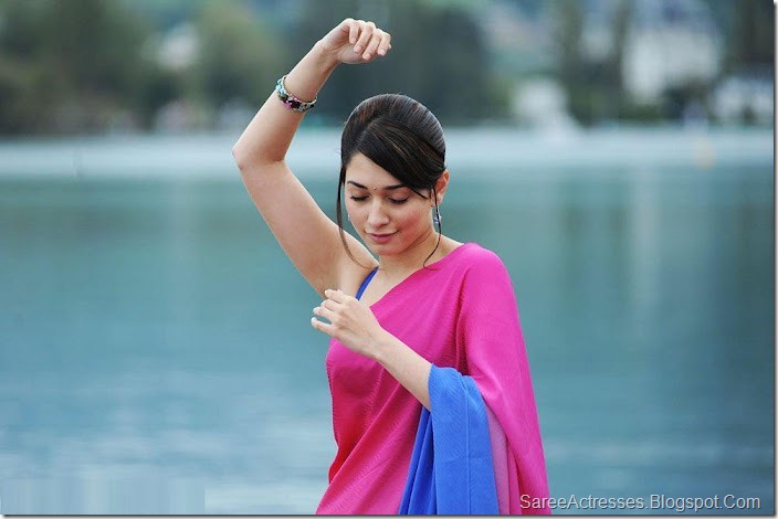 Tamanna Hot Pink Saree 9