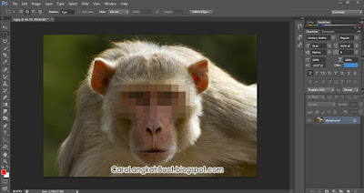 Cara blur wajah dengan Photoshop