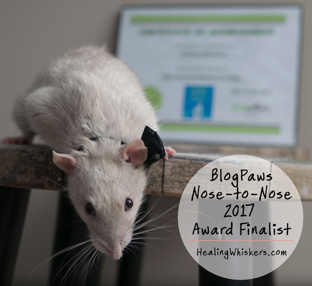 BlogPaws Nose-to-Nose 2017 Award Finalist