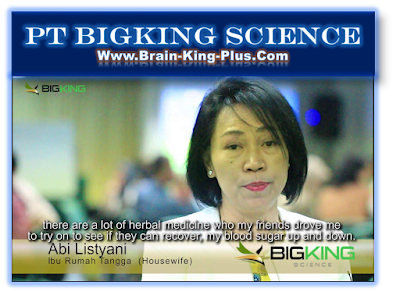 http://www.brain-king-plus.com/