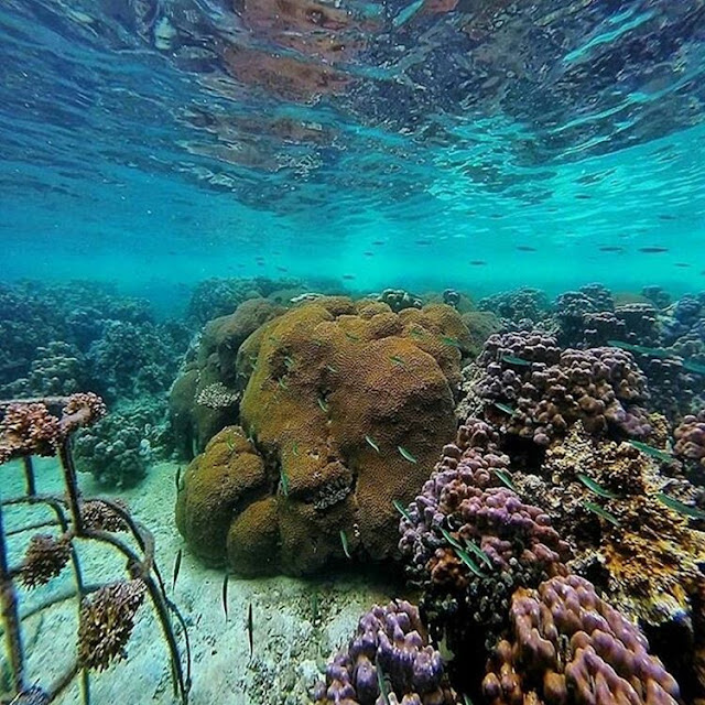 Pulau Putri Tapanuli tengah