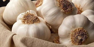 Why Do We Put a Clove of Garlic Under Your Pillow and In Our Ears?