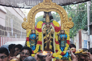 Sri Theliya Singar,Avani, Swathi ,Parthasarathy Perumal Temple,Purappadu,2016, Video, Divya Prabhandam,Sri Parthasarathy Perumal, Triplicane,Thiruvallikeni,Utsavam,