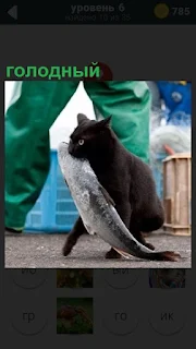По земле идет голодный кот и держит в зубах большую рыбу, которую поймал