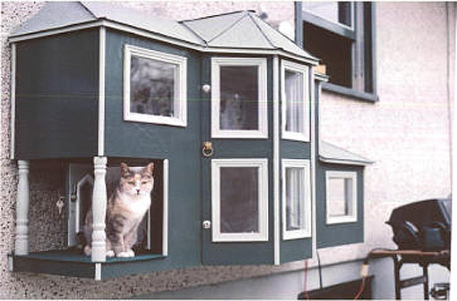 Outdoor Cat House