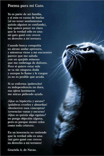 Poema para mi gato