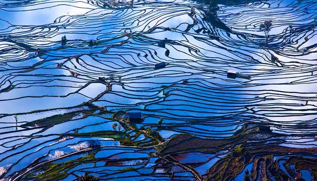 Foto Pemandangan Sawah Yang indah liataja.com